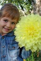 Георгин Кельвин Фрудлайт Георгин Кельвин Фрудлайт