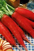 редис Красноватый гигант, семечки овощей редис Красноватый гигант, семечки овощей