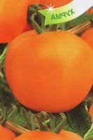 Томат Хурма Томат Хурма