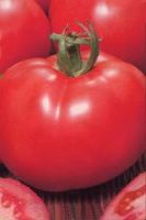 томат Райское удовольствие томат Райское удовольствие