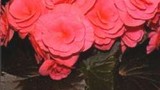wpid-image_32.jpg