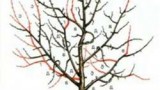 wpid-image_48.jpg