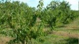 wpid-image_57.jpg