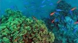 wpid-image_69.jpg