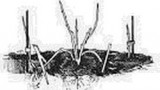 wpid-otvody.jpg